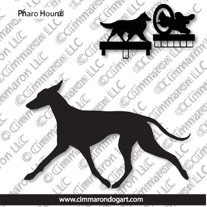 pharao002ls - Pharaoh Hound Gaiting MACH Bars-Rosette Bars