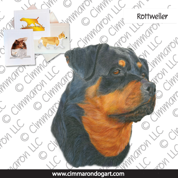 rot011n - Rottweiler Portrait Note Cards